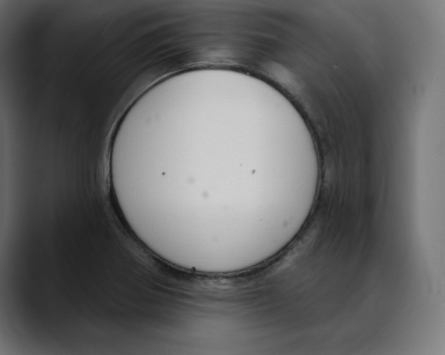 X0000088921370200707061356