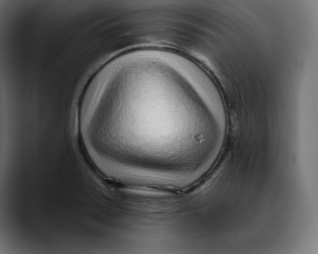 X0000088921371200707061356