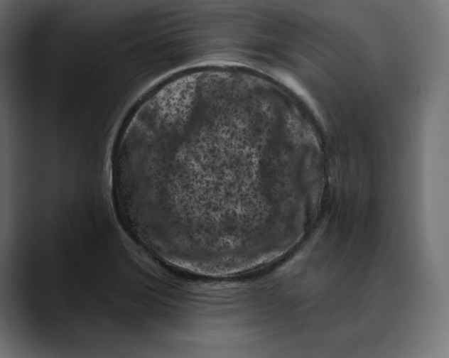 X0000088921372200707061356