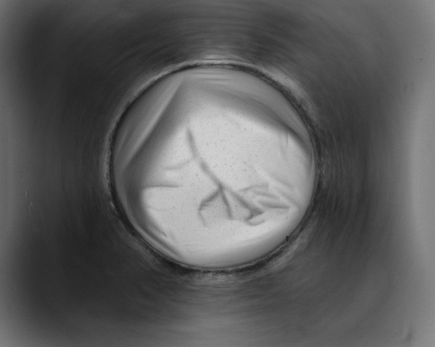 X0000088921374200707061355