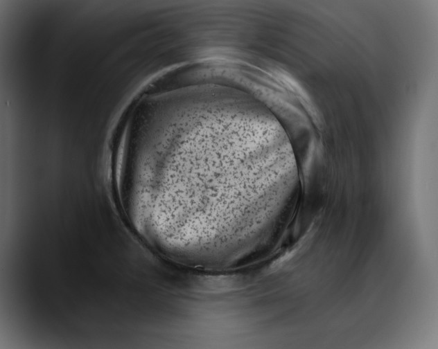 X0000088921376200707061355
