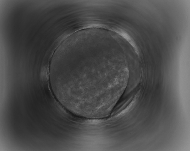 X0000088921377200707061355