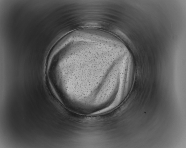 X0000088921378200707061355