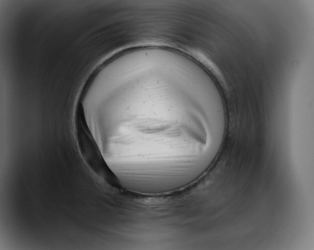 X0000088921380200707061355