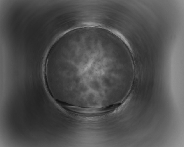 X0000088921381200707061355