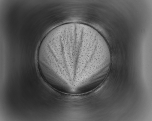 X0000088921382200707061355