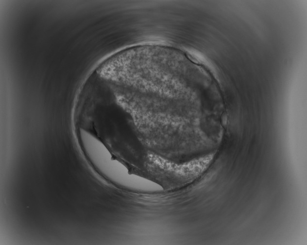 X0000088921383200707061355