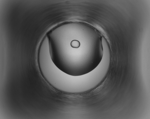 X0000088921384200707061355