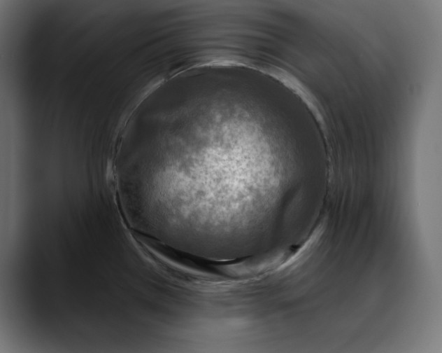 X0000088921385200707061355