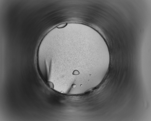 X0000088921387200707061355