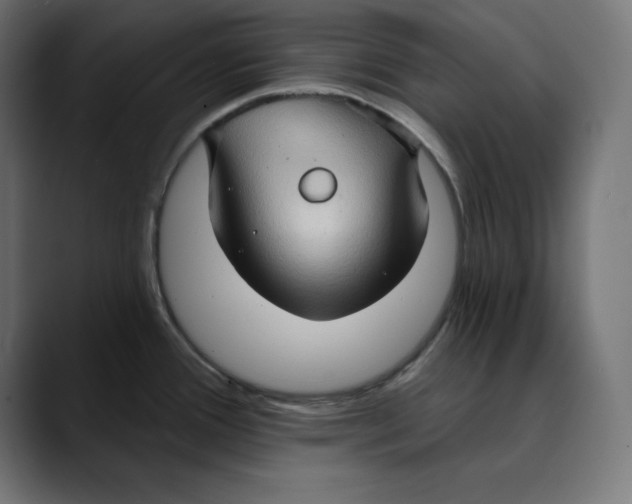 X0000088921388200707061355