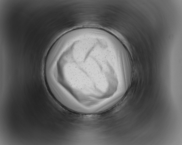 X0000088921390200707061355