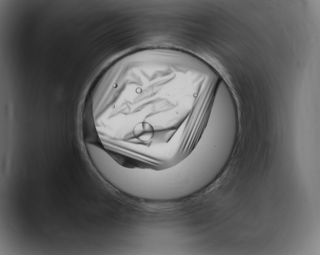 X0000088921392200707061355