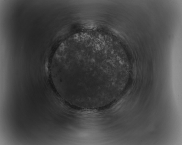 X0000088921394200707061355