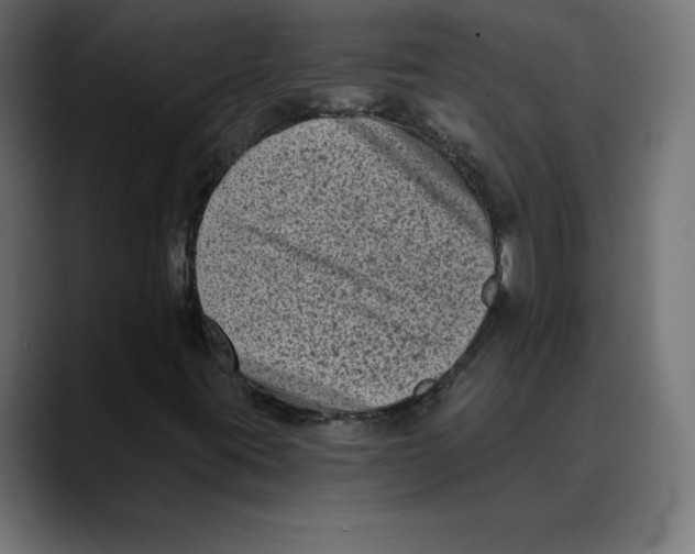 X0000088921395200707061355