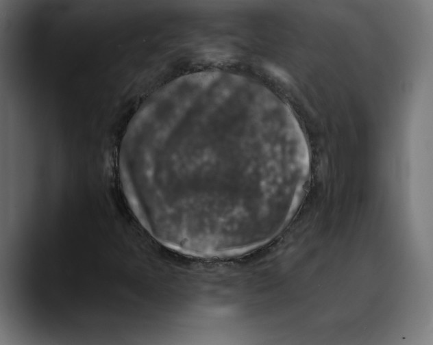 X0000088921397200707061355