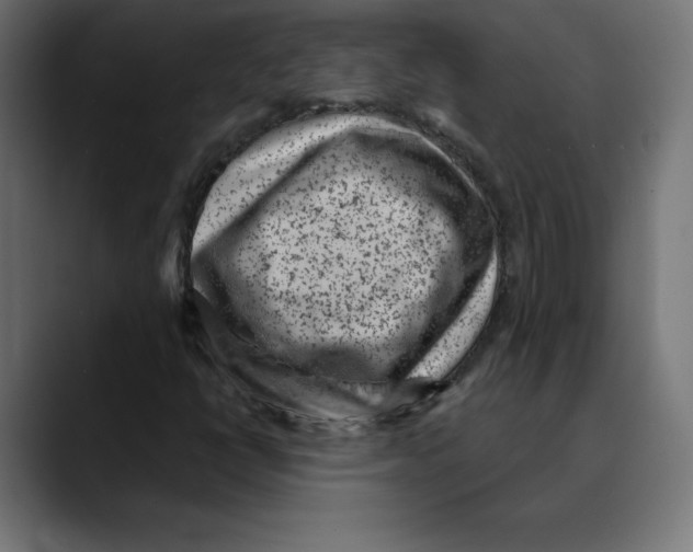 X0000088921398200707061355