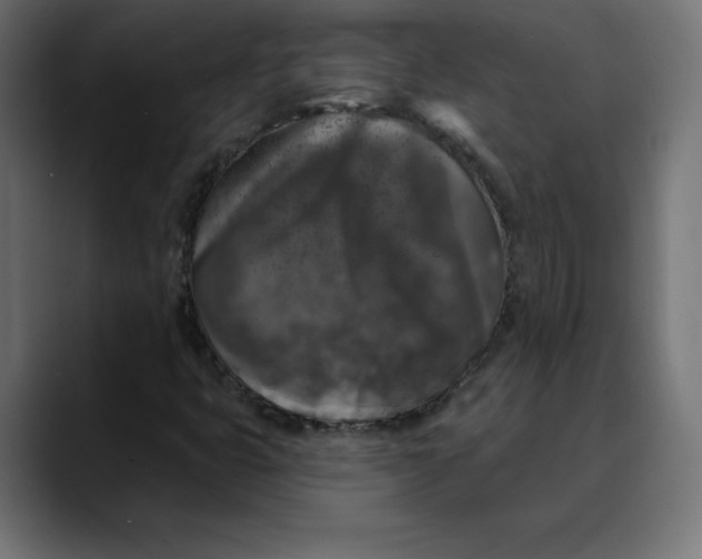X0000088921399200707061355
