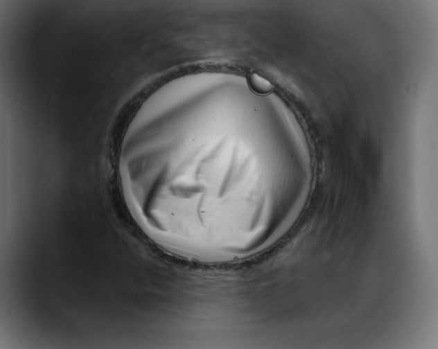 X0000088921400200707061355