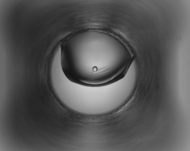 X0000088921402200707061355
