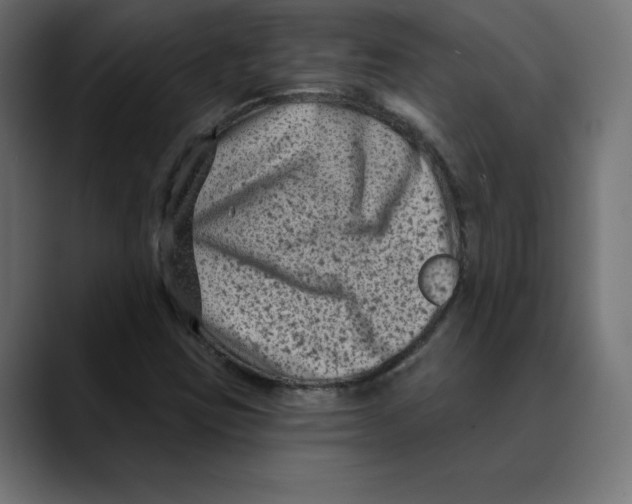 X0000088921403200707061355