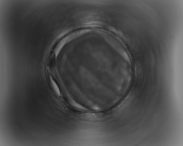 X0000088921405200707061355