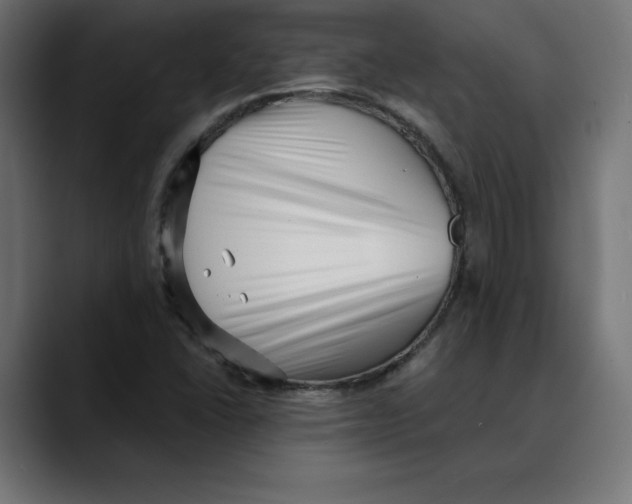 X0000088921406200707061355