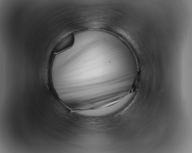 X0000088921410200707061355