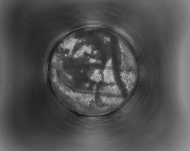 X0000088921411200707061355