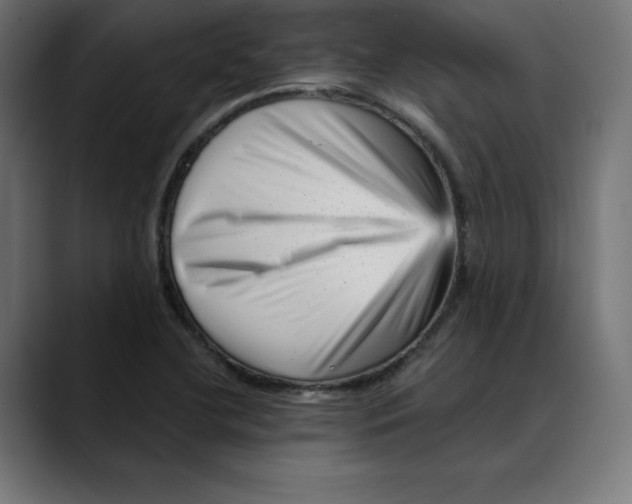 X0000088921412200707061355