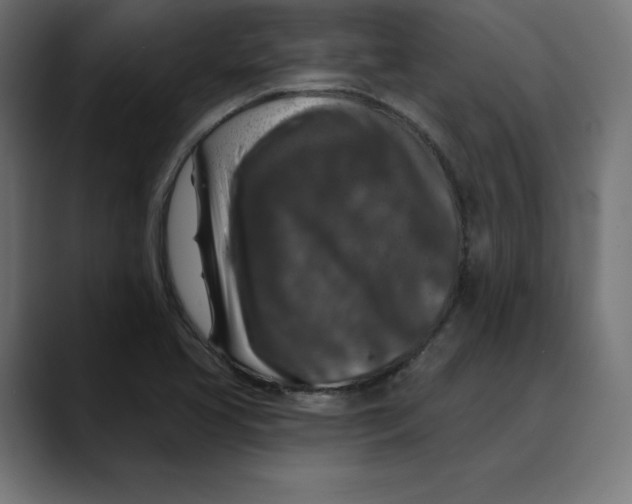 X0000088921413200707061355