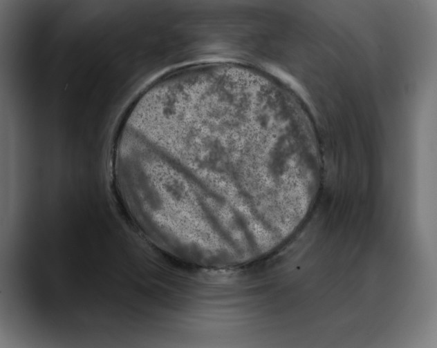 X0000088921415200707061355