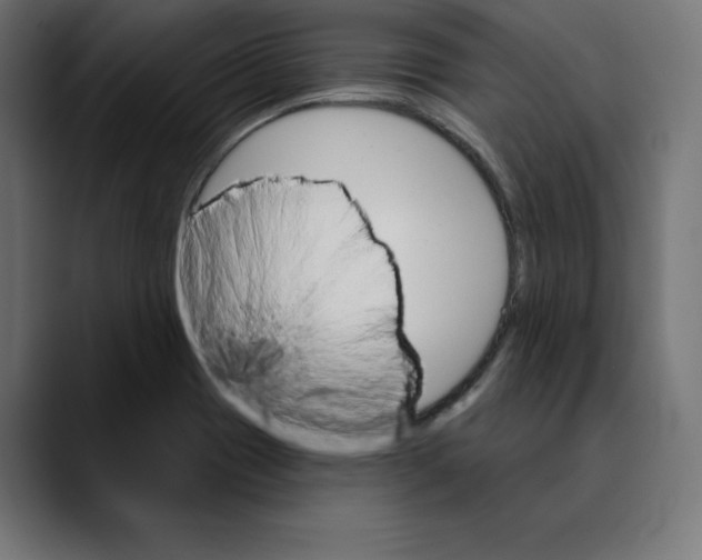 X0000088921417200707061355