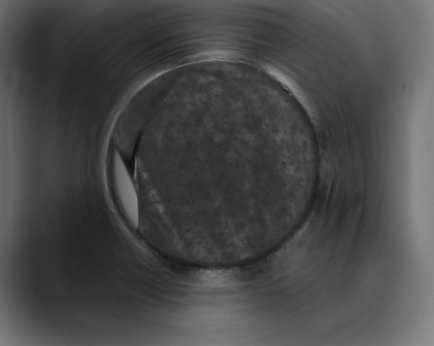 X0000088921418200707061355