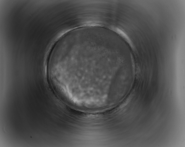 X0000088921419200707061355