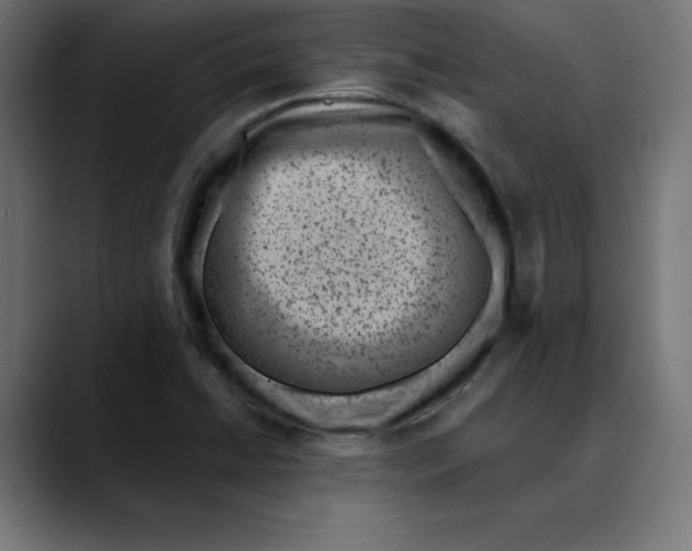 X0000088921422200707061355