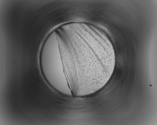 X0000088921424200707061355