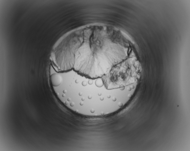 X0000088921425200707061355