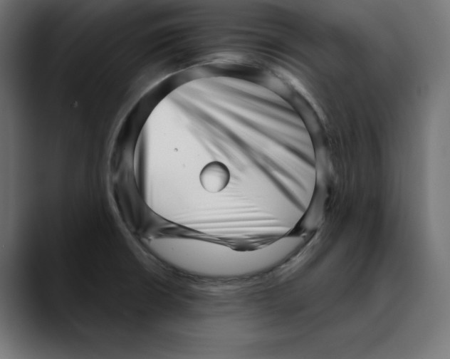 X0000088921426200707061355