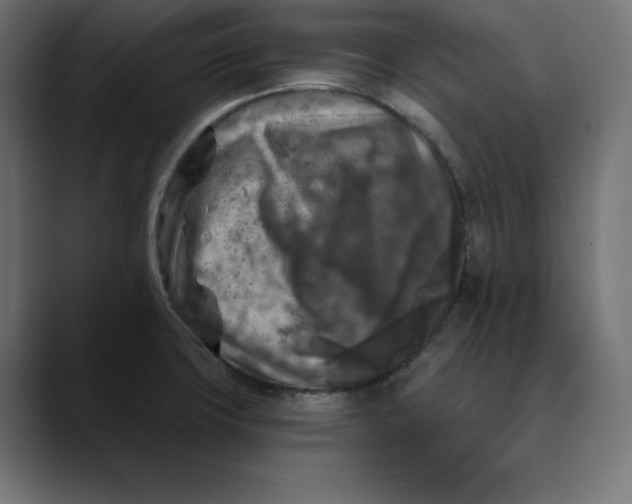 X0000088921427200707061355