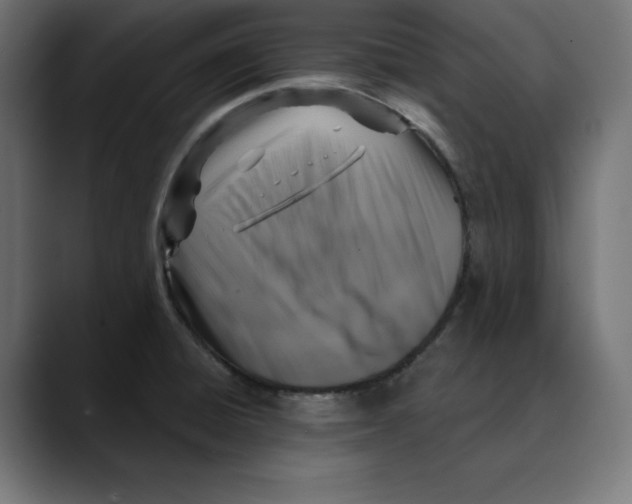 X0000088921428200707061355
