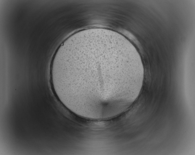X0000088921431200707061355