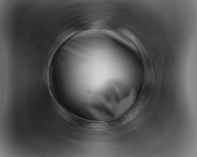X0000088921434200707061355