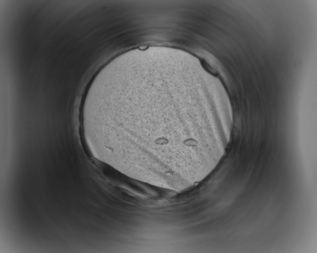 X0000088921435200707061355