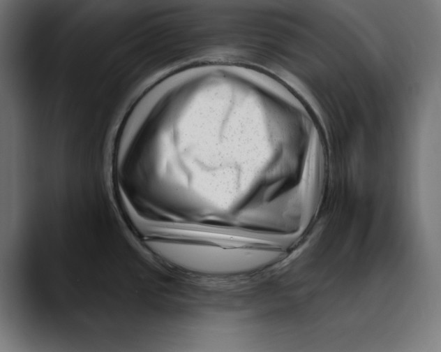 X0000088921437200707061355