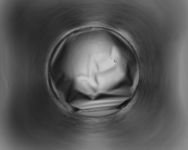 X0000088921438200707061355