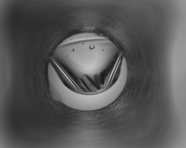 X0000088921441200707061355