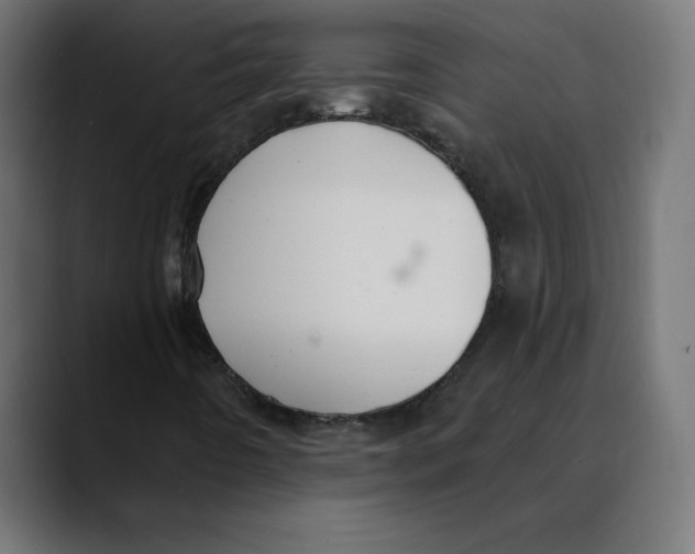 X0000088921442200707061355
