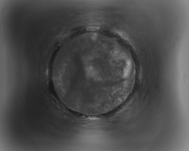 X0000088921445200707061355