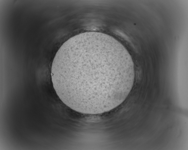X0000088921446200707061355